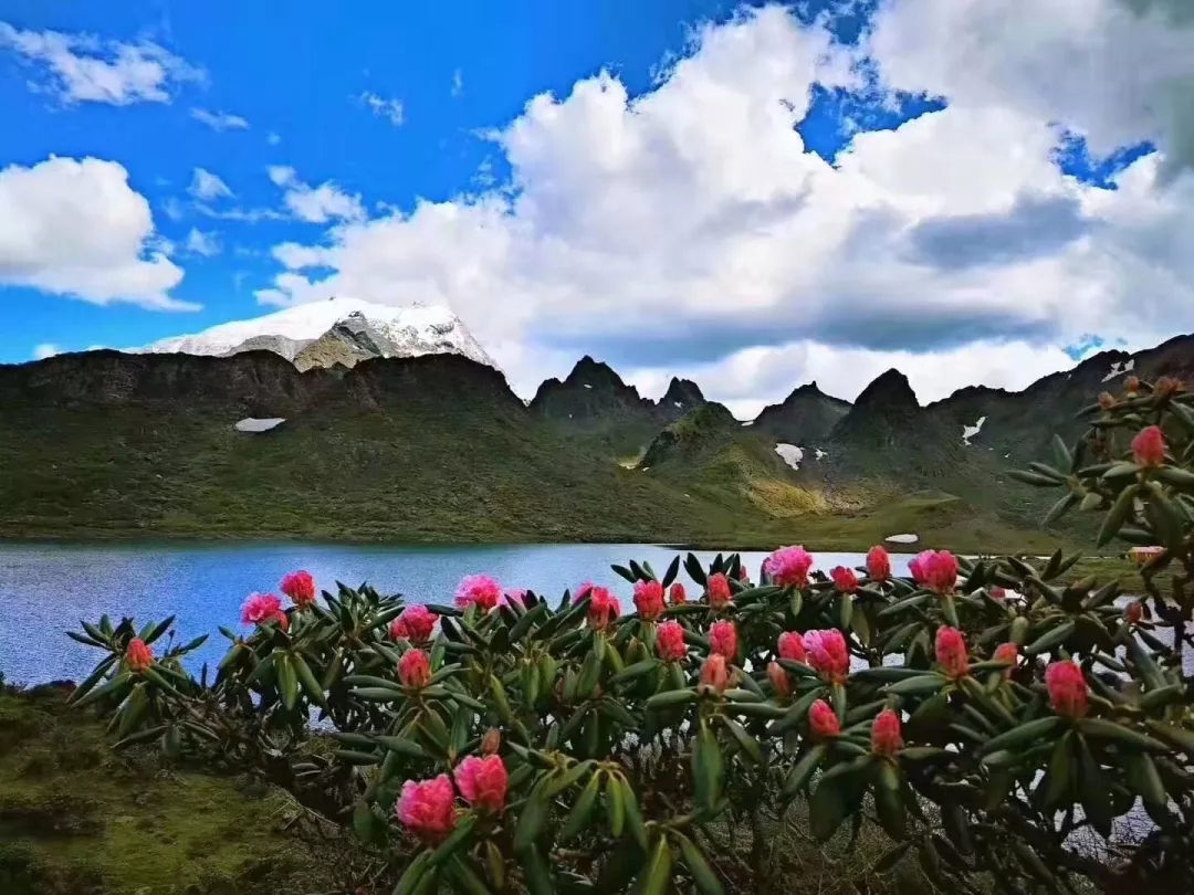 跟我去黑海