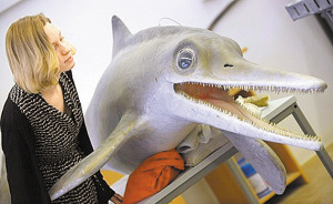 德国科学家发现新型恐龙游弋水域形似海豚（图）