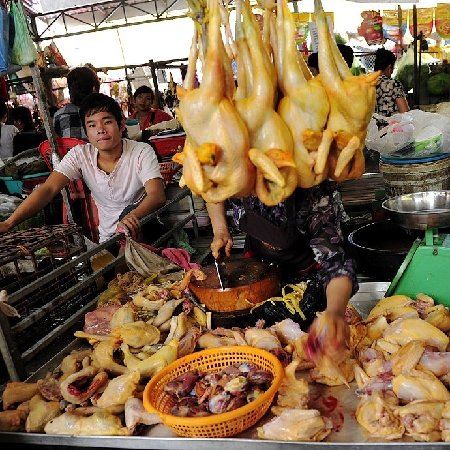 柬埔寨的美食诱惑 让人垂涎欲滴又毛骨悚然