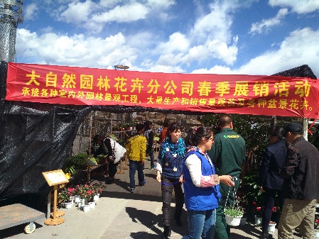 香格里拉春季花卉市场节节升温