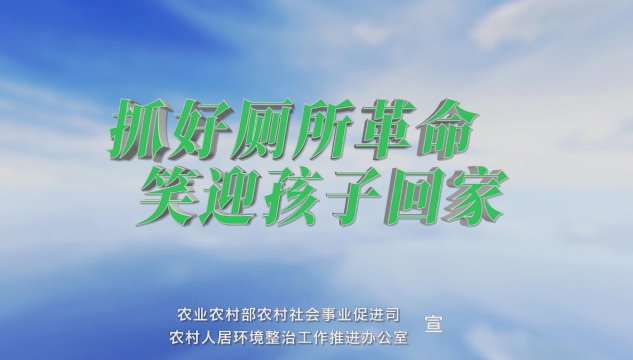 厕所革命