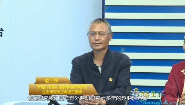 【一周一访谈81期】《一周一访谈》节目邀请嘉宾探讨松茸的科学保护与合理利用（一）