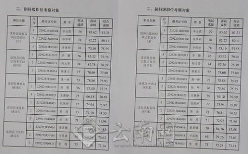 漾濞县出具的《漾濞彝族自治县2012年竞争性选拔科级领导干部公告(4号）》文件 