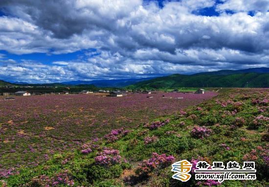 风景如画