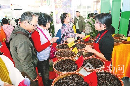 云南高原特色现代农业国际合作高峰论坛在昆举行