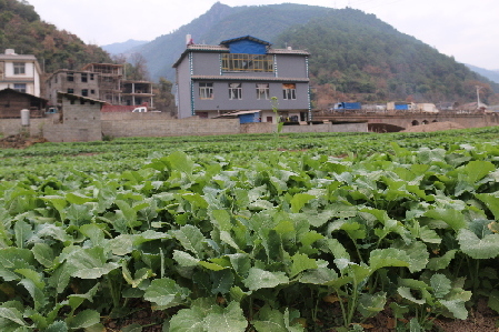 维登乡冬日里的大风景