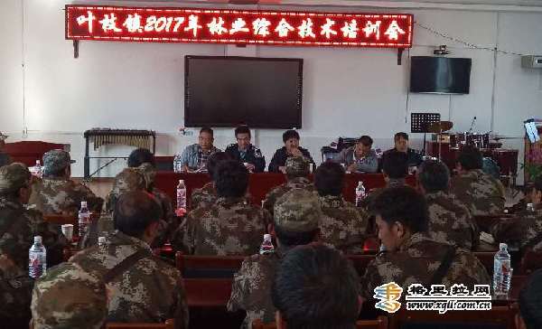维西扎紧防火网守护大森林