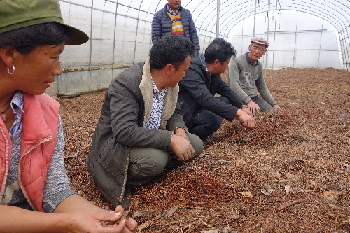 田间学校授课忙