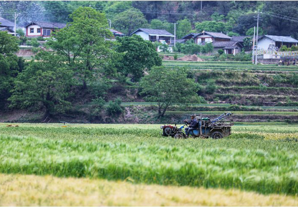 塔城镇夏收夏种忙