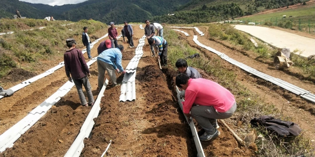 叁疆公司建药材基地促农民增收