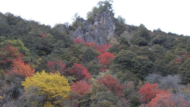 白马雪山秋韵