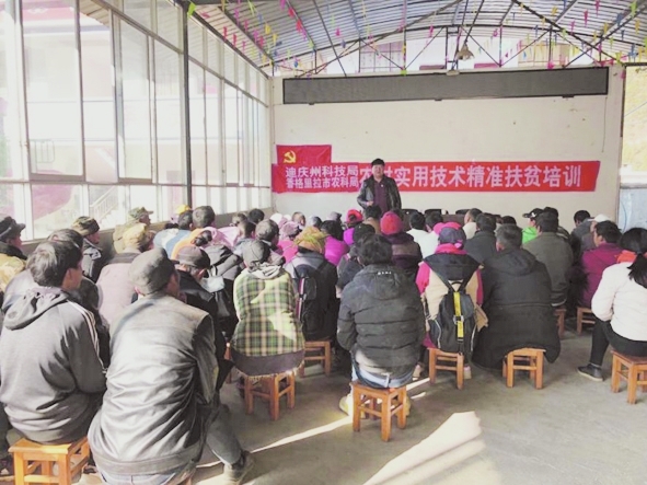 科技培训 农民受益