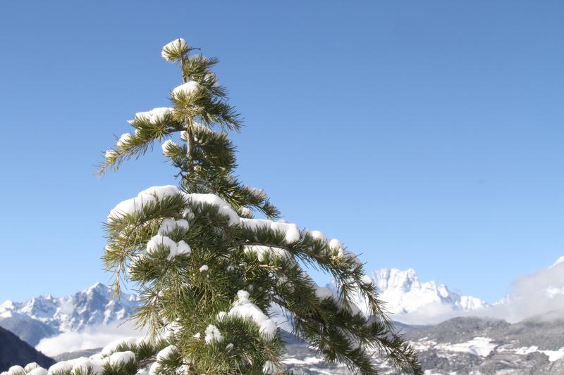 雪后的德钦，随手一拍就是风景