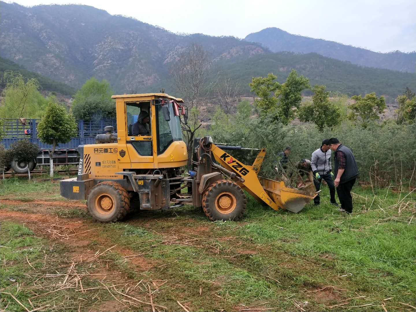 建设生态寺院，绿化生态环境