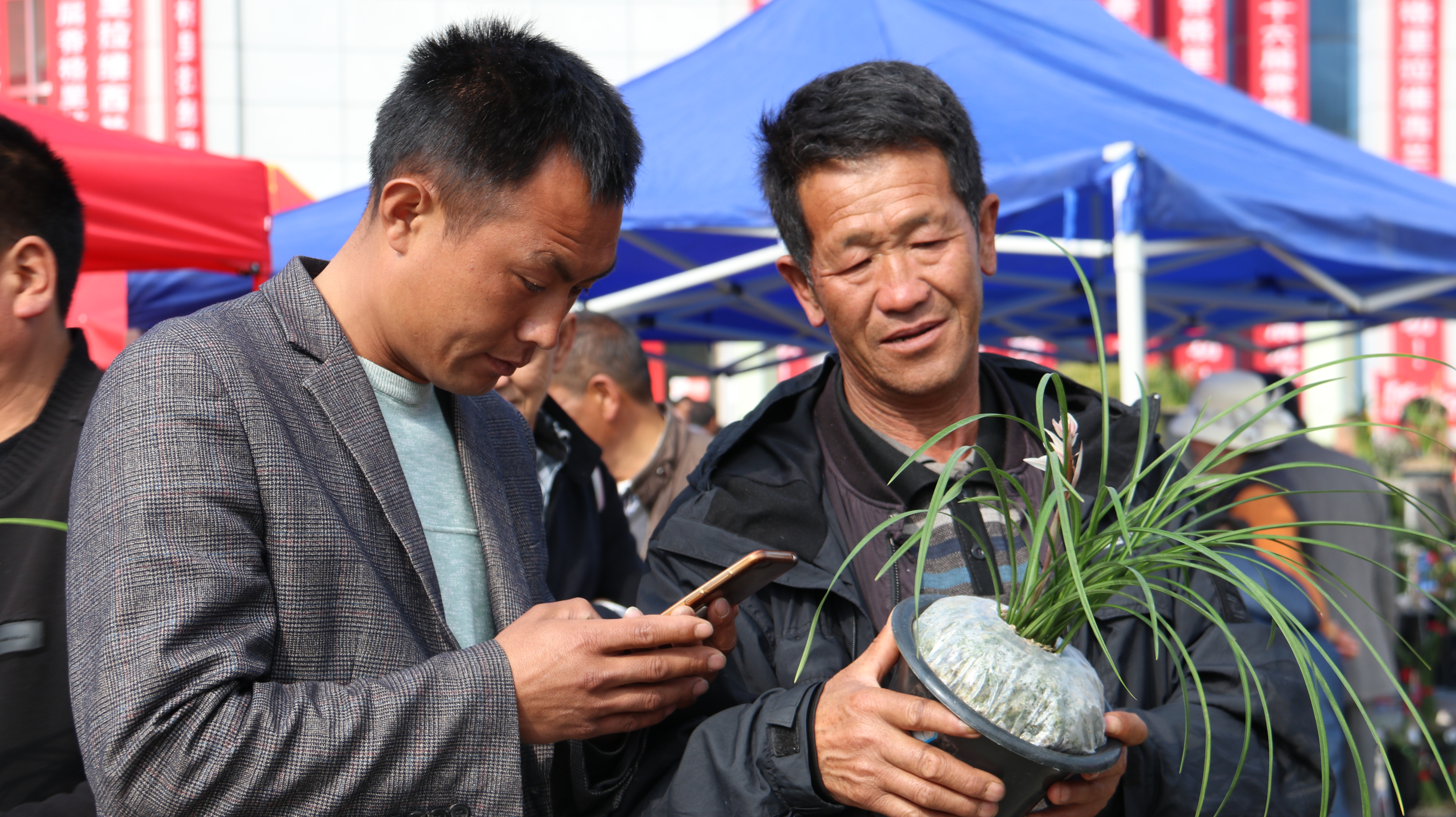 兰花飘香百姓欢