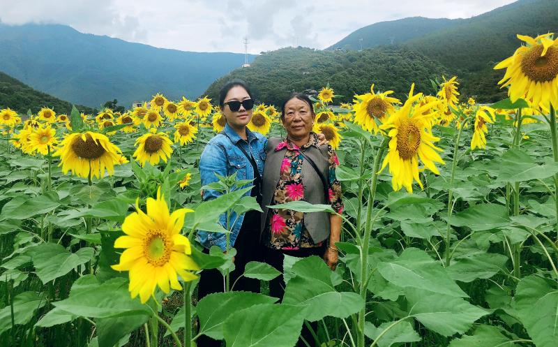 它洒村民小组的向日葵花开了