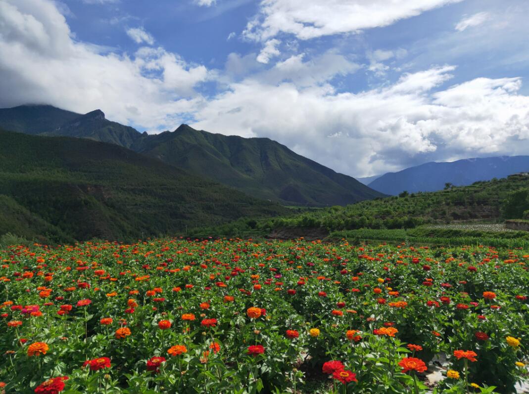 汤满村持续推进乡村旅游振兴本地经济战略