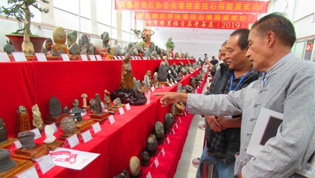 “美丽家园”花卉·奇石展精彩纷呈
