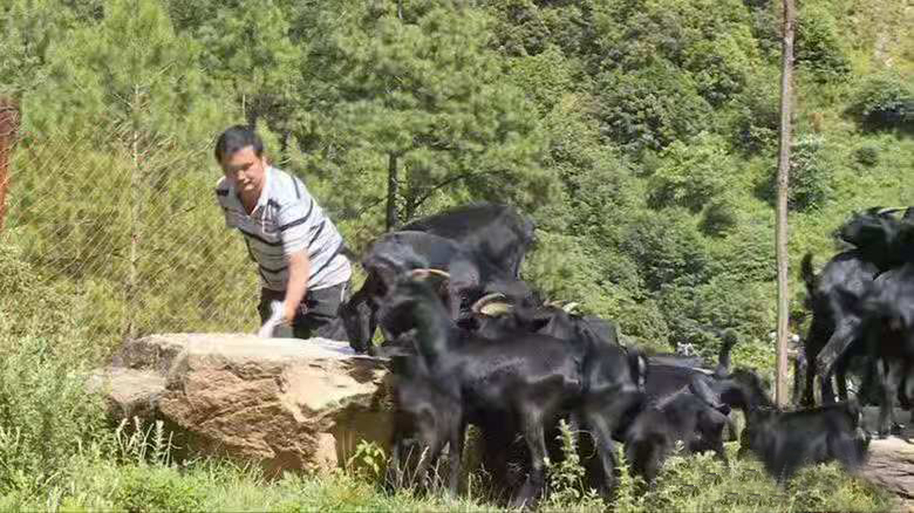 身残志坚 夫妻携手共筑美好生活