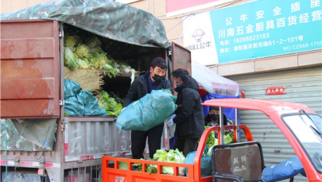 德钦县调运新鲜蔬菜 确保物资供应充足