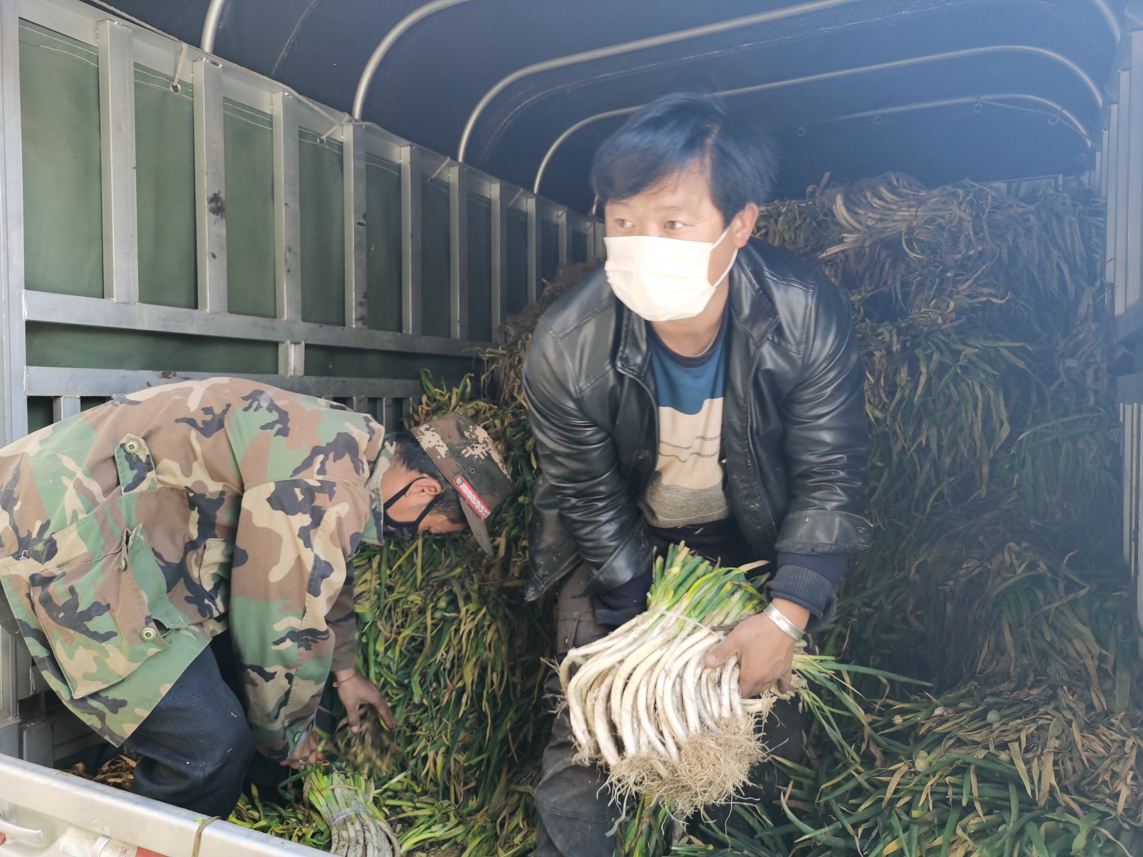 维西县向德钦县捐赠14吨蔬菜