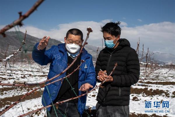 云南迪庆藏区：打好防疫脱贫两场战役