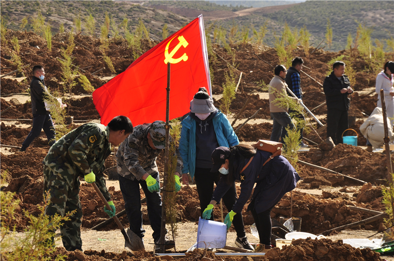 迪庆启动春季义务植树活动