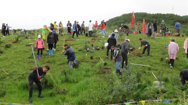 州级各部门干部职工到香格里拉市建塘镇草坡地义务植树