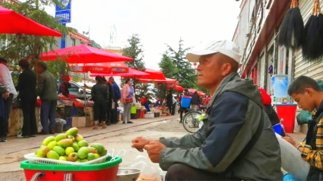 仙人果带来的财富