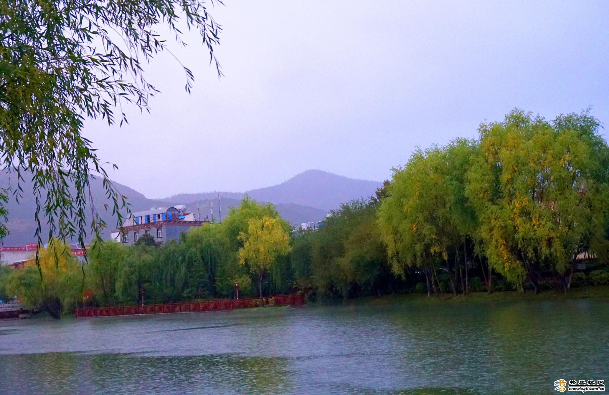 秋色映染香格里拉龙潭湖公园