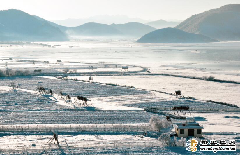 雪中的纳帕海如诗如画