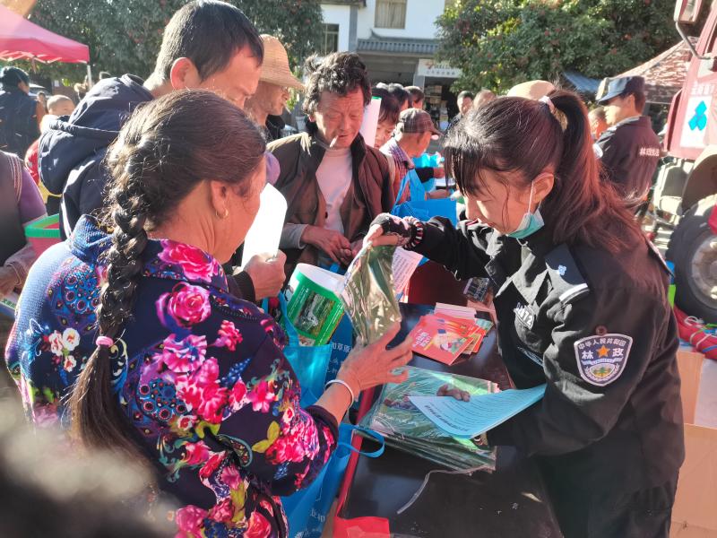 全国法制宣传周金江林场在行动