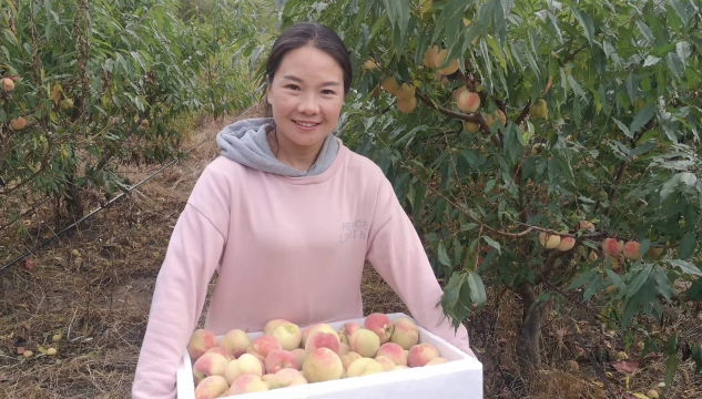 金江镇打了一场漂亮的“翻身仗”