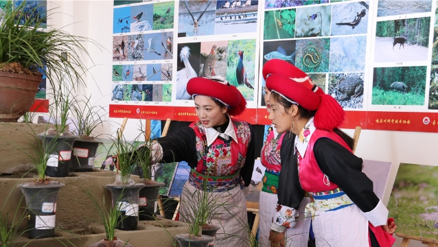 迪庆影像生物多样性摄影展和香格里拉第六届春季花展开幕