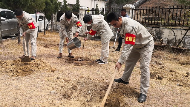 大唐香电公司义务植树添新绿