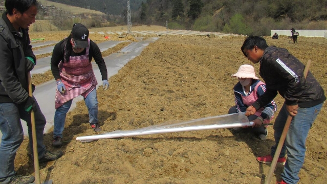 腊普河畔春回大地 农户播种忙