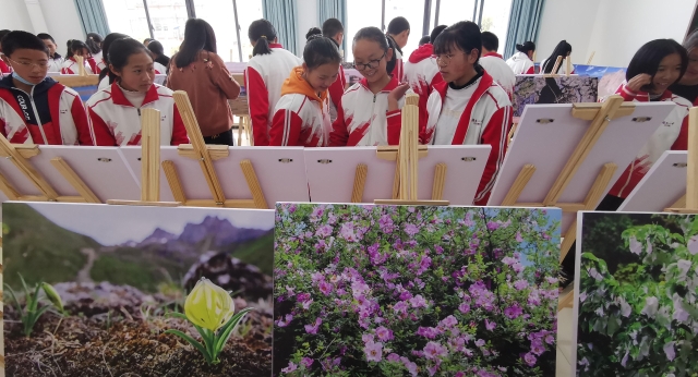 迪庆影像生物多样性摄影展到维西巡展