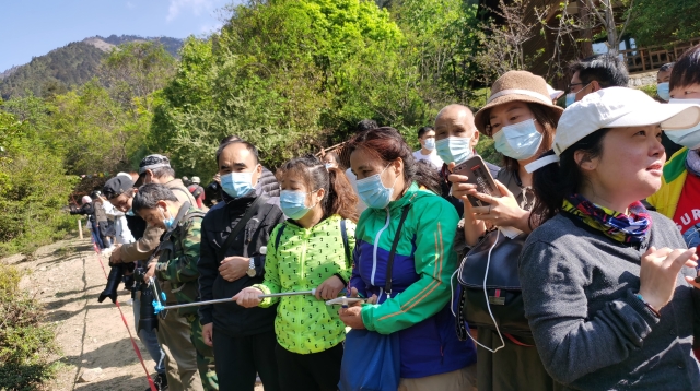 香格里拉滇金丝猴国家公园省内游客成主力