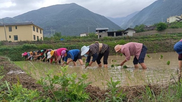 【我为群众办实事】群众遇困难 党员伸援手