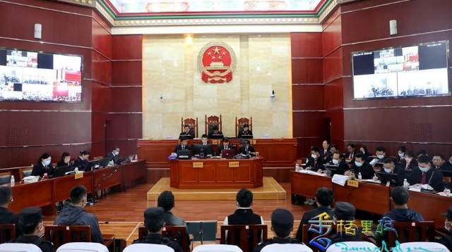 迪庆中院公开开庭审理被告人李某明、李某勇等二十二人涉嫌盗窃罪一案