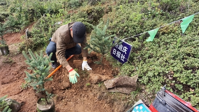 迪庆日报社参加秋季义务植树