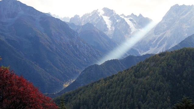 白马雪山的秋五彩斑斓