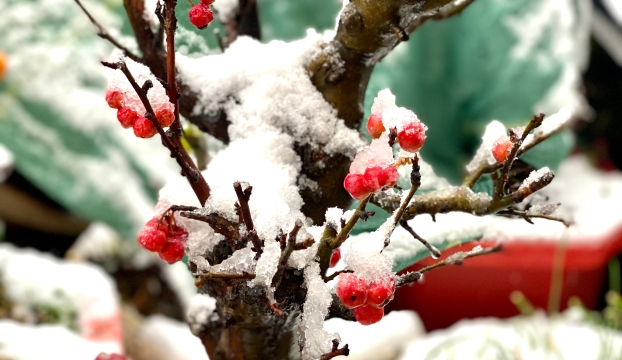 2022年迪庆第一场雪