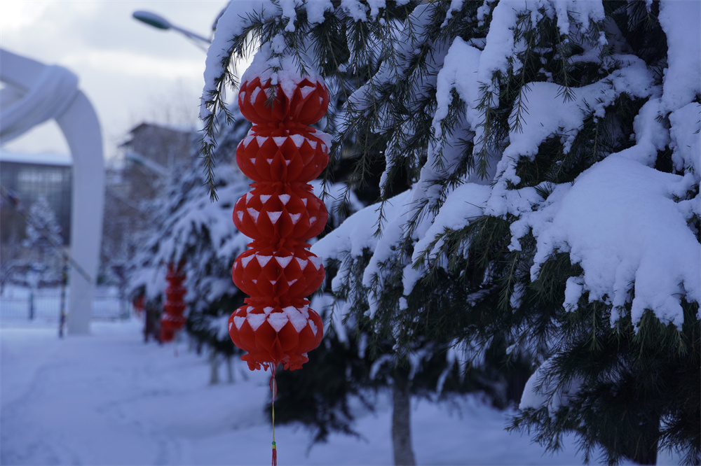 【网络中国节•春节】瑞雪兆丰年！迪庆下雪了！