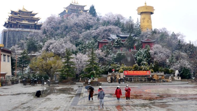 在雪景与春景中遇见香格里拉