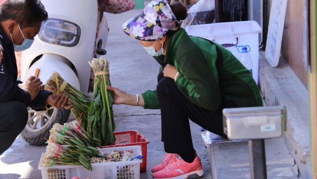 @吃货们！香格里拉野菜上市了！快来尝鲜