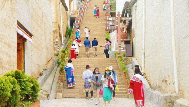 正是高原好风景 花开时节又逢君