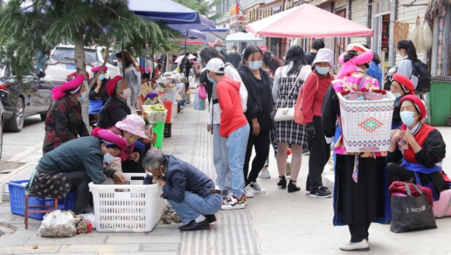 香格里拉有序恢复正常生产生活秩序