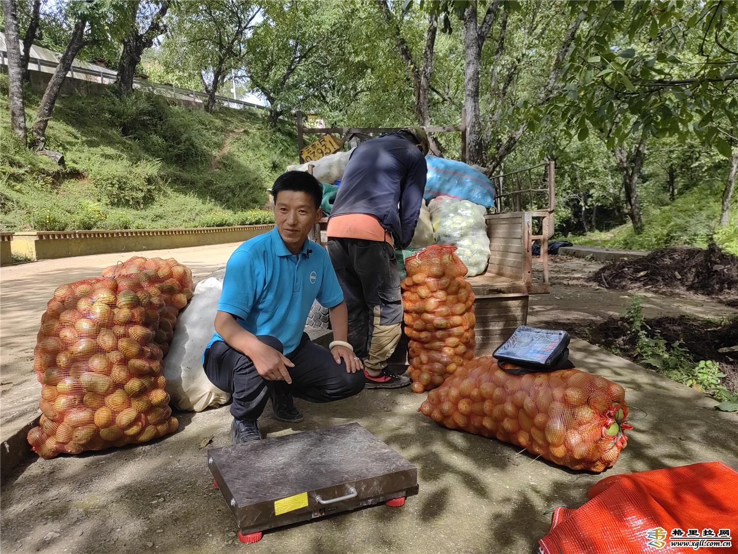 广州珠村七巧文化节-中关村在线摄影论坛