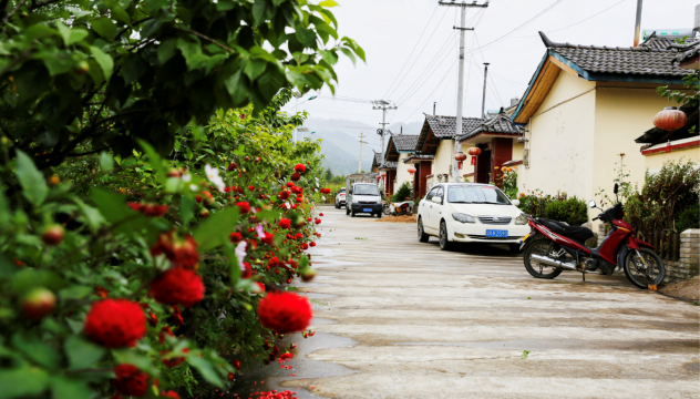 迪夏村民小组：生态移民新村景色美